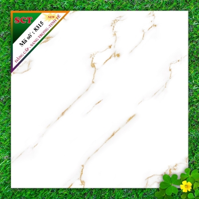 Gạch World Tiles SCT 8315